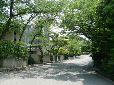 六麓荘町散策