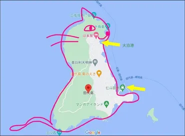 猫島「田代島」は、一体どんな場所？猫とのふれあいが最高!!