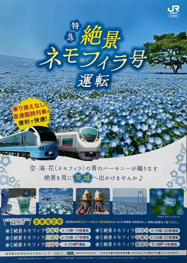 特急絶景ネモフィラ号が運転されます鉄道の小箱