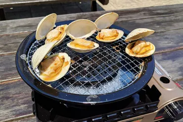 イワタニ製゛専用プレート゛でカセットコンロの可能性が広がる!