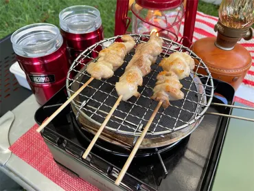 検証】カセットガスコンロにぴったりの網で作る絶品焼き鳥を紹介