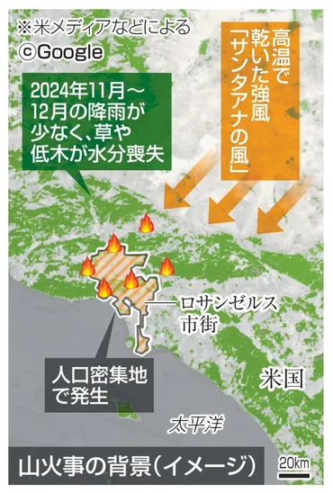 ロス山火事、なぜここまで被害が…重なった悪条件 州知事はトランプ氏に「大失敗」とこきおろされ：東京新聞デジタル