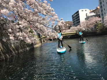 大岡川お花見ツアー