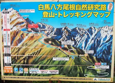 ゴンドラ利用で手軽に絶景の稜線へ①〜北アルプス入門にピッタリな夏の【唐松岳】山の日ハイク〜 