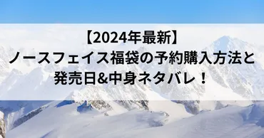 年最新】ノースフェイス福袋の予約購入方法と発売日中身ネタバレ!
