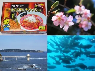 勝浦朝市と勝浦タンタンメン–