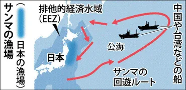 サンマ漁:深刻な不漁続き国際会議で漁獲制限提案へ