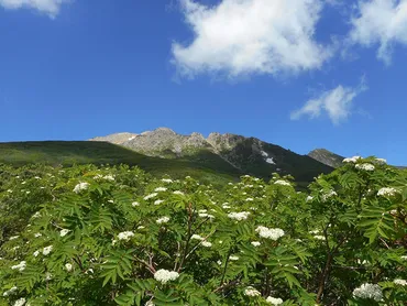 夏山シーズンを迎えた御嶽山。年ぶりに山頂部の登山道が開通へ