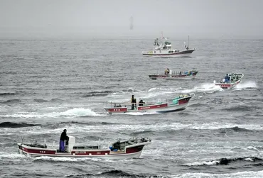 ロシア、貝殻島周辺の日本のコンブ漁停止を発表「灯台修理」と主張:朝日新聞