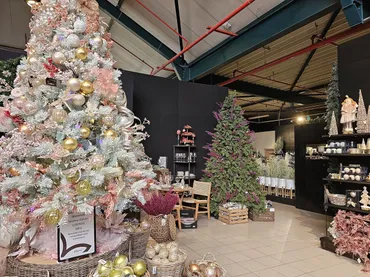 ベルギー流クリスマスは恋人のものではなく、圧倒的「家族イベント」だった