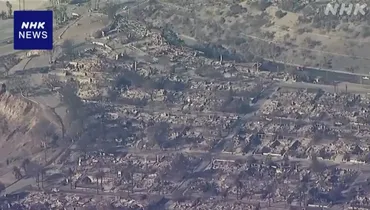 ロス山火事と米保険会社、日本の保険会社への影響