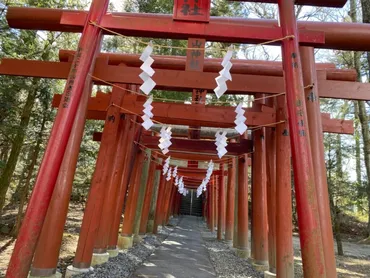日本三大金運神社!新屋山神社のみどころ!