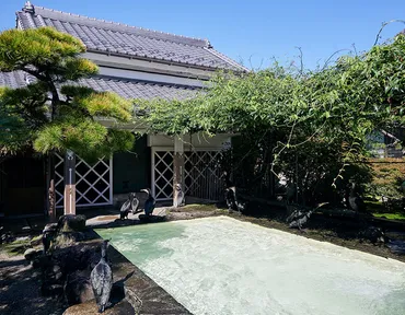 室町時代から受け継ぐ「小瀬鵜飼」宮内庁式部職鵜匠·足立陽一郎さん/岐阜県関市