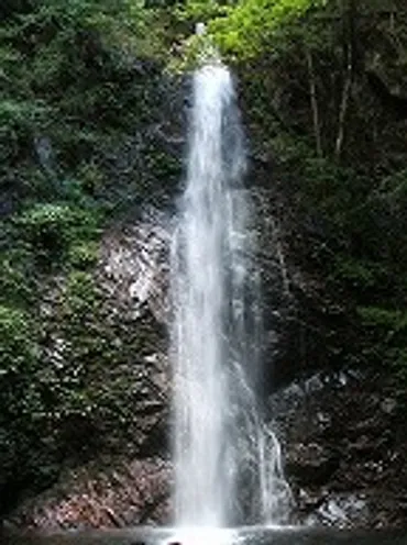 檜原村エコツーリズムの魅力とは？持続可能な観光の取り組みを紹介！（？マーク）檜原村の自然と持続可能な観光への取り組み