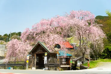 東京都檜原村のおすすめ観光スポットは?温泉もある東京本土唯一の村–観光ガイド
