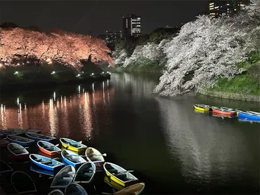 千鳥ヶ淵「夜桜ライトアップ」はいつからいつまで?年開花状況と鑑賞ルートを紹介