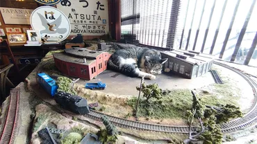 奥州懐古館やまびこ、鉄道コレクションと隠れ家と箱庭の古民家カフェ