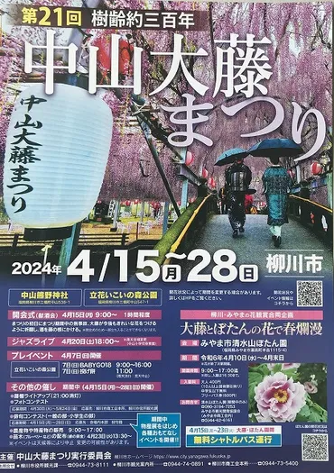 中山大藤まつり」開幕!