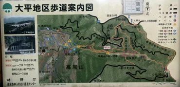 野草生活高尾山:日影沢林道、いろはの森コースで春の花巡り