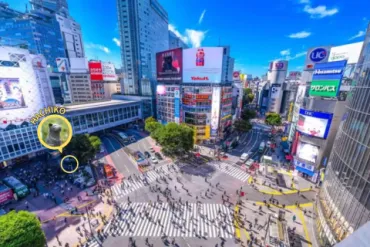 渋谷駅・ホームから改札ハチ公・中央・南・新南へはどう行く？