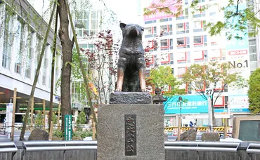 渋谷駅からハチ公前までの行き方と出口は？路線から何分何秒？