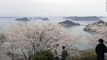 日本の島の定義とは？数え方や沖ノ鳥島の現状、南シナ海問題まで徹底解説！(？)日本の島、定義と数え方の最新情報