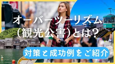 オーバーツーリズム(観光公害)とは?対策と成功例をご紹介!【株式会社】