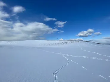 銀世界広がる!!幻の絶景スポット【雪が降った鳥取砂丘】に行ってみた!