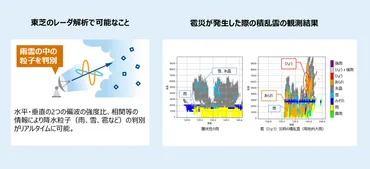 雹嵐による被害と対策とは？（東芝、エル・エヒード、政府の対応）？雹嵐の猛威と広がる被害、そして対策の最前線