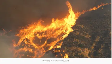 ロサンゼルス山火事の原因と解決策–法人国際環境経済研究所