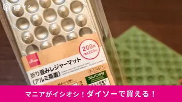 ダイソー】新商品の「折り畳みレジャーマット」はアルミ蒸着で断熱性◎持ち運びやすくて円なら絶対買いだよね！