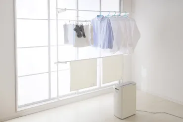 洗濯物の生乾き嫌な臭い対策はコレ！洗濯研究家が部屋干しの早く乾かすコツを徹底解説！–