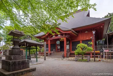 拝島の藤」を訪ねる、花と歴史の小旅〜普明寺・大日堂と日吉神社–おめ通