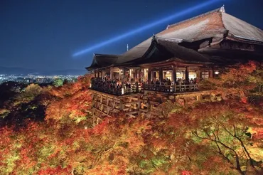 音羽山清水寺「秋の夜の特別拝観」紅葉の一大名所を、約基の照明が幻想的にライトアップ
