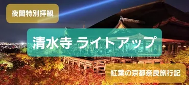 京都】ウラ技伝授！『清水寺ライトアップ』激混みの夜間拝観攻略法！