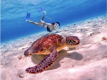 沖縄旅行のオプショナルツアーは何がいい?人気ランキング・おすすめ体験ツアープランを徹底紹介!