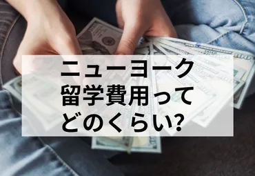 ニューヨーク留学の費用はいくらかかる？内訳や節約方法を紹介 