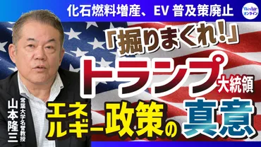 脱・脱炭素化」する米国】トランプが関税同様に化石燃料増産、EV普及策廃止を強行する意外な「真意」ウェッジ・オンライン