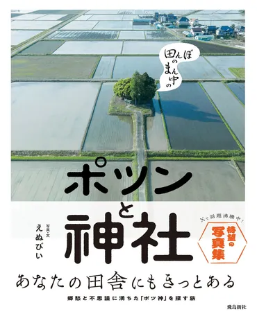 写真集『田んぼのまん中のポツンと神社』とは？写真家えぬびい氏が捉える日本の原風景とは？写真家えぬびい氏の写真集『田んぼのまん中のポツンと神社』とは