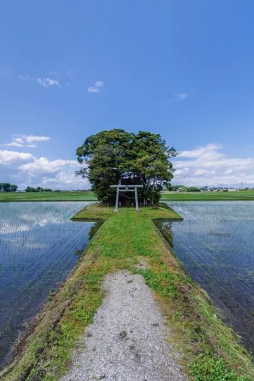 田んぼの中にポツンとある神社「ポツ神」の絶景訪ねる人に話を聞いた