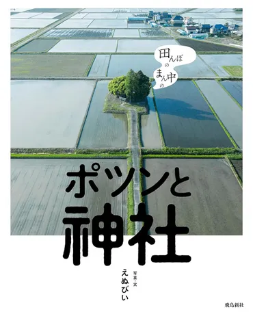 田んぼのまん中のポツンと神社」えぬびい写真・文