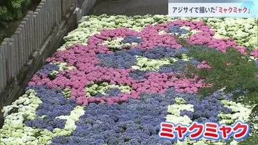 三室戸寺の紫陽花とミャクミャク！2025年の見どころを徹底解説！(？)宇治の古刹、三室戸寺で咲き誇る紫陽花と、大阪・関西万博公式キャラクター「ミャクミャク」のアジサイアート