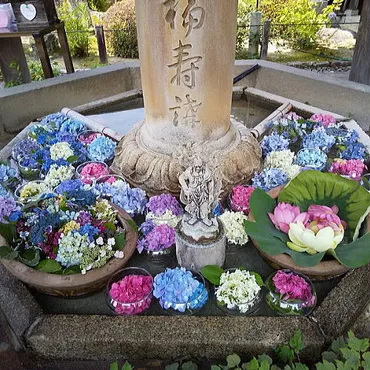 京都【三室戸寺】あじさい園公開~