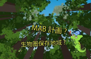 計画とは?生物圏保存地域とは?】人間の生活と生物多様
