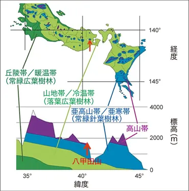 特集地球温暖化の深淵日本から「高山植物」は消え「タケ」が勢力拡大