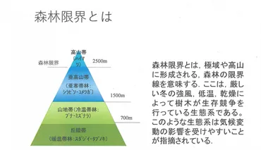 富士山の森林限界は温暖化で上昇、新大・崎尾均教授の４０年間の現地調査で判明