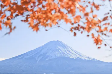 富士山の環境問題の現状とは？美しい自然を守るための対策や取り組み事例
