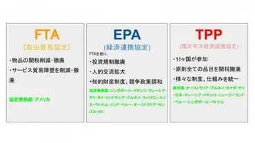 ついに発効された「日米貿易協定」、日本の農業・農産物への影響は？