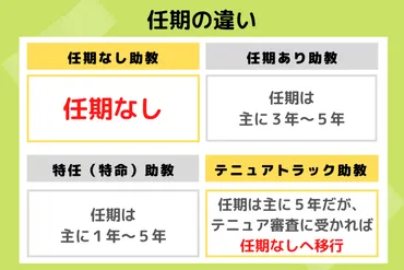 大学教員の雇用形態を理解する】テニュアトラックや特任助教などの相違点を分かりやすく解説