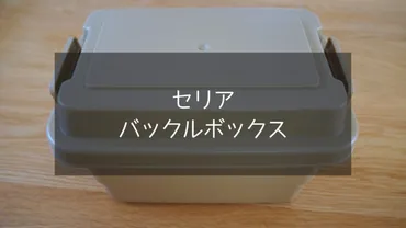 セリアのバックルBOXで叶える！おしゃれキャンプ入門？100均キャンプギア：セリア バックルBOXの魅力
